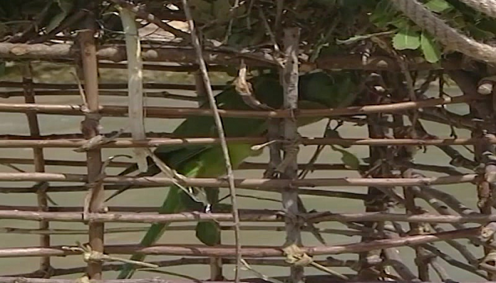 Death Coming to the East S01E16