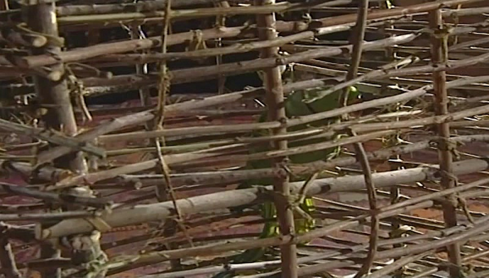 Death Coming to the East S01E17