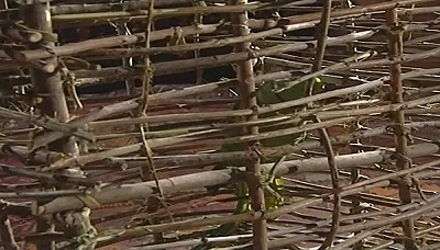 Death Coming to the East S01E17