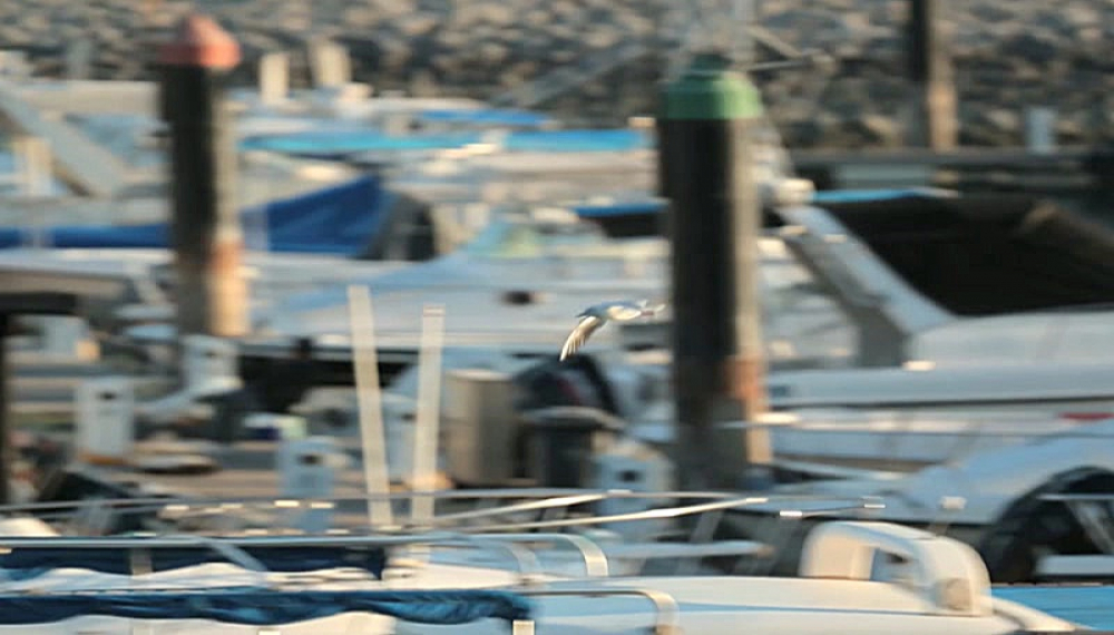 ثریا - الموسم الاول الحلقة 21